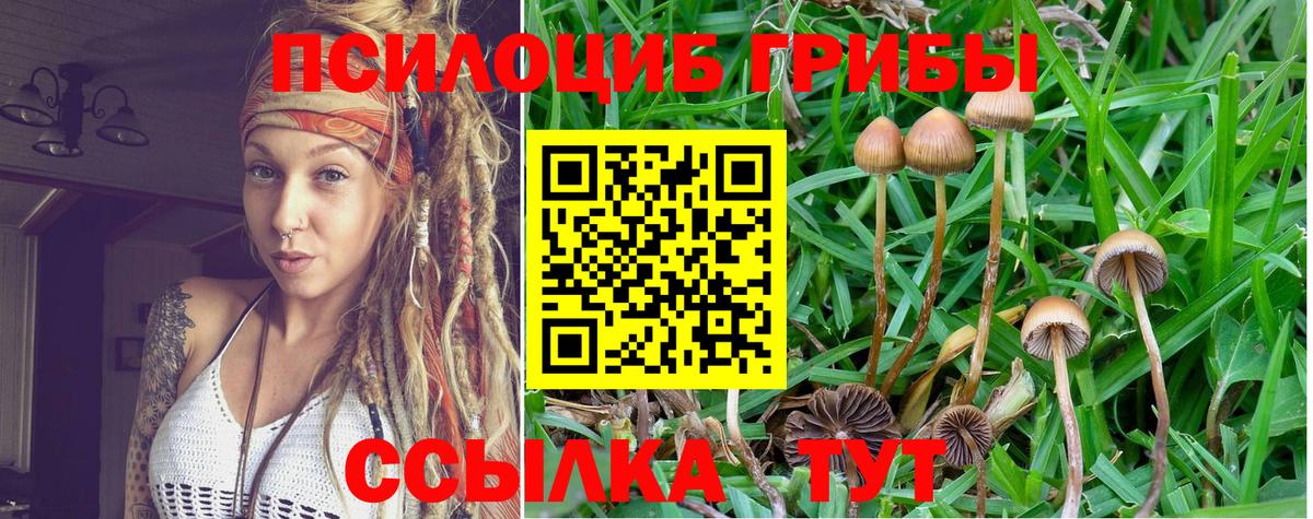 Аксай  купить наркотик  Вход с VPN  Псилоцибиновые грибы Magic Shrooms 