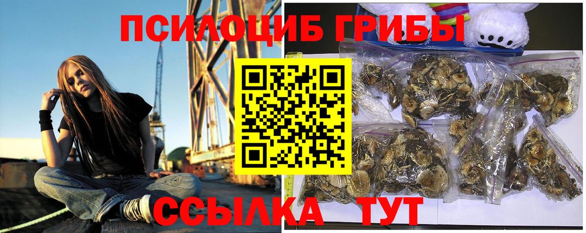 Галлюциногенные грибы Psilocybe Аксай