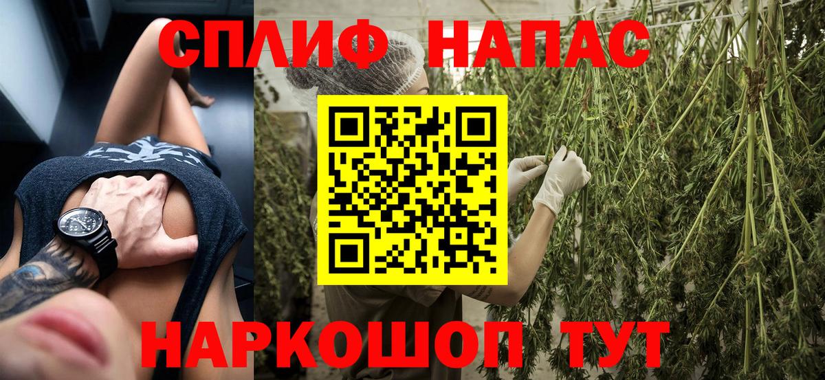 Бошки Шишки сатива Аксай